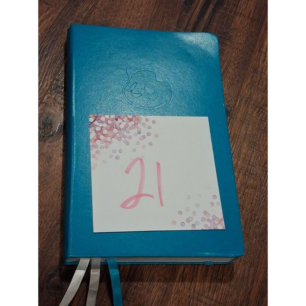 3 Month Unused Panda Planner Classic in Cyan 8.25 x 5.75"